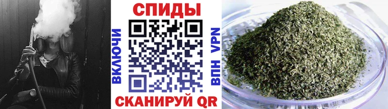 Бутират буратино Могоча