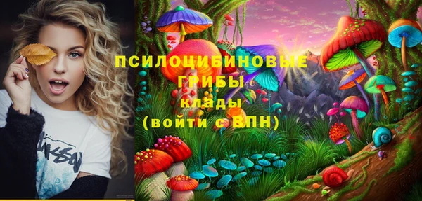 ALPHA PVP Беломорск
