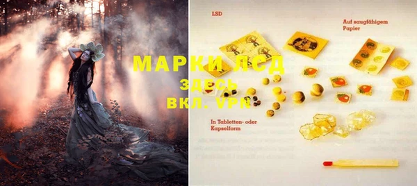 мяу мяу мука Баксан