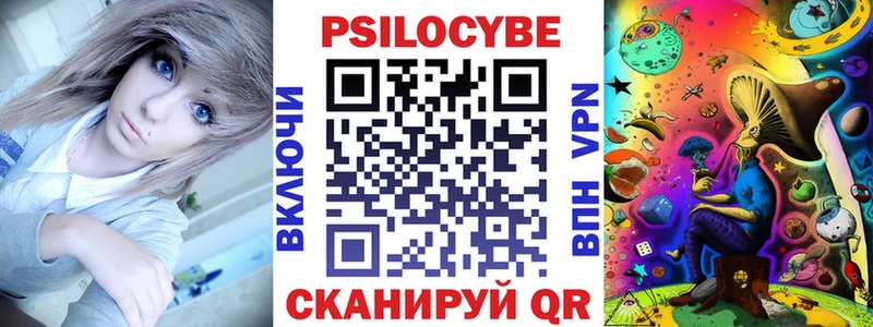 Псилоцибиновые грибы Psilocybe  Купить  Могоча 